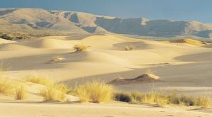 [VIDEO] Joanna Moro: Gdybym dostała propozycję z Azja Express