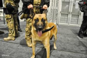 Katowice: Pirotechnicy sprawdzali teren COP24