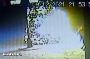 [VIDEO] Miejska choinka wartości 65 tysięcy złotych stanęła w płomieniach. Podpalacz szybko zatrzymany przez policjantów