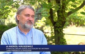 [VIDEO] Problemy finansowe i braki kadrowe uderzają w warszawskie zoo. Konieczne wstrzymanie inwestycji i ograniczanie liczby zwierząt