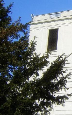 Praca zdalna z poparciem Sejmu