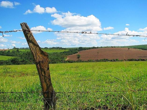 Nowe przepisy o przeciwdziałaniu nieuczciwym praktykom w obrocie produktami rolnymi mogą uderzyć w rolników
